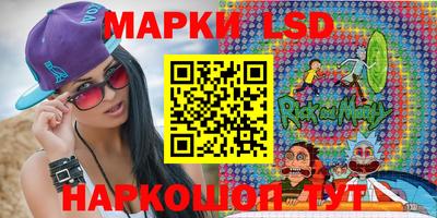 крисы Моздок