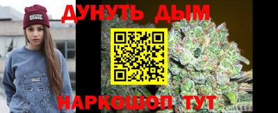 крисы Моздок