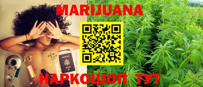 крисы Моздок
