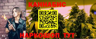 крисы Моздок