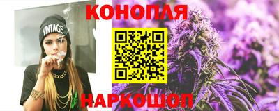 крисы Моздок