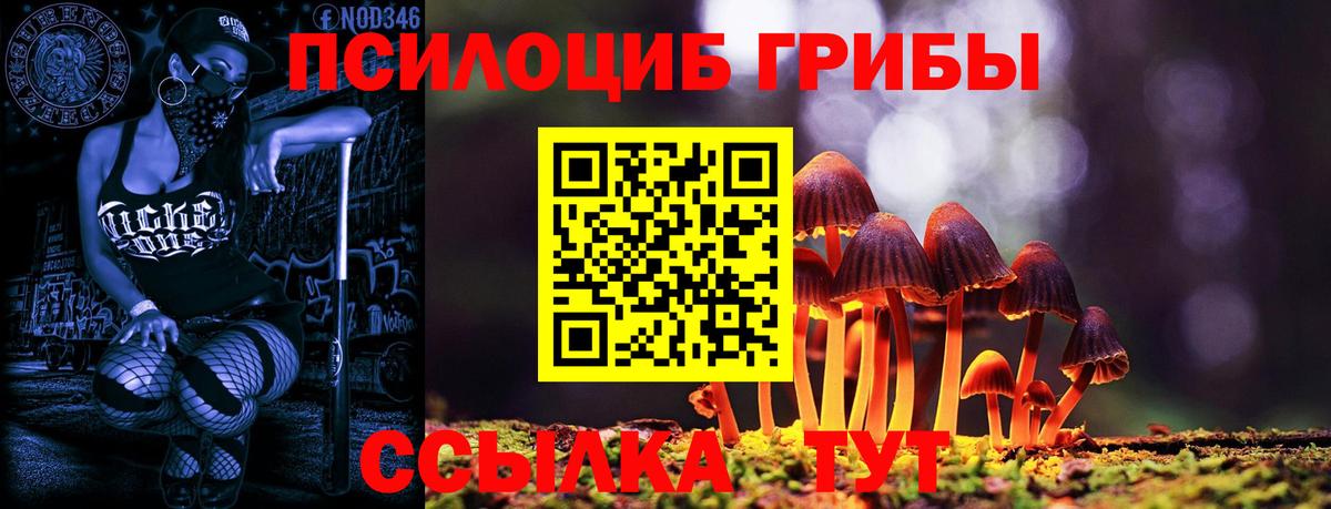 Псилоцибиновые грибы прущие грибы  Вход с VPN  Шелехов  Псилоцибиновые грибы Cubensis 