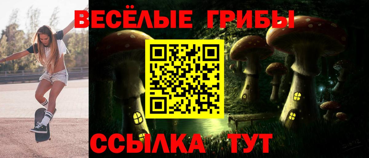 Галлюциногенные грибы Psilocybine cubensis Шелехов